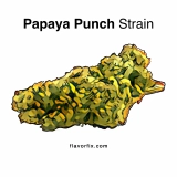 Papaya Punch Strain — Potent Yet Perfectly Peaceful