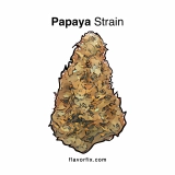 Papaya Strain — Propel Yourself to Paradise