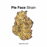 Pie Face Strain — Get Tranquil & Talkative