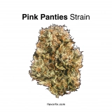 Pink Panties Strain — Turn Down the Lights and Turn Up the Chill