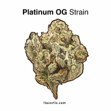 Platinum OG Strain — A Kush Heavy Bud