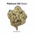 Do-Si-Dos Strain – An Indica Hybrid for Body Melting Relaxation