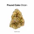 Sour Tangie Strain — Sour and Sunny All at Once