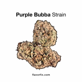 Purple Bubba Strain — Heavy Hitter for a Knockout