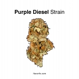 Purple Diesel Strain — A Dreamy Strain With a Kick
