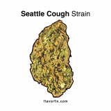 Seattle Cough Strain — The Mood-Boosting Bud