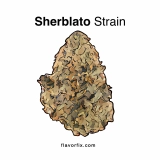 Sherblato Strain — A Delectable Daytime Smoke