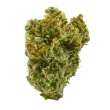 Silver Haze Strain — Get Invigorated and Imaginative