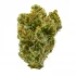 Meat Breath Strain — Pungent and Powerfully Relaxing