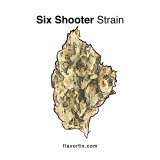 Six Shooter Strain— Blasts You Away