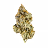 Skunk+ Strain – Nothing Stinky About This High