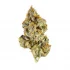 Weed Delivery in Queens NY