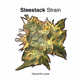 SleeStack Strain — Get Lifted and Lively