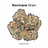 Purple Punch Strain — Knock Yourself Out With a Heavy Hitter