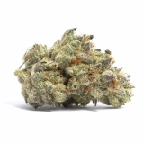 Snowball Strain — It Packs a Punch