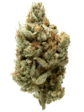 Snowcap Strain — Chill Out with a Snowy Treat