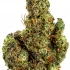 Weed Delivery in Queens NY