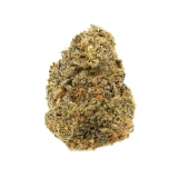 Sour Cookies Strain — All-Purpose Bliss