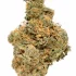 Triple OG Strain — A Tranquilizing Trifecta