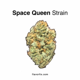 Space Queen Strain — Take a Journey to the Moon