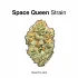Peach Cobbler Strain — Have a Peachy Day