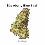 Strawberry Blue Strain — Smooth and Stimulating