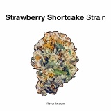 Marijuana Strains Strawberry Shortcake Strain — The Shortcut to a Sweet Time