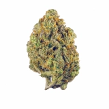 Super Lemon Haze Strain — Get Super Lifted, Lively, and Locked In