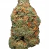 Grape Soda Strain — Strong Flavor for Grape Lovers