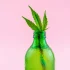 The Best Drinks with THC -A Comprehensive Guide for Cannabis Beverage Lovers