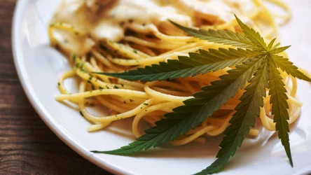 5 Top Weed Restaurants in Brooklyn, NYC – Try Them This Spring