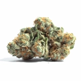 Tropic Thunder Strain— A Booming High