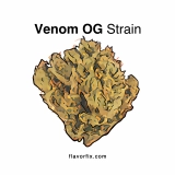 Venom OG Strain — Potent Yet Approachable