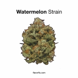 19 Weed Strains & Cocktail Pairings to Try Watermelon Strain — Roll Up a Sedating Juicy J