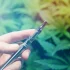 Cannabis Linked to Reduced Opioid Cravings: Study
