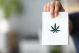 Weed Delivery – What are the Best  Weed Delivery Services in 2023?