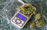 Getting To Know The Weed Scale
