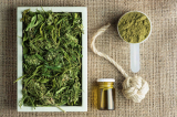 What Is Hemp? Find Out Why Powerful Business Men Outlawed this Plant