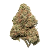 White 99 Strain — It’ll Leave You 99% Happier and More Relaxed