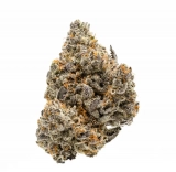 Marijuana Strains White Buffalo Strain — Rare and Wonderful