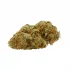 What is THC-O? – Everything You Need to Know