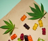 CBD Gummies in Bulk: How to Buy Wholesale CBD Gummies