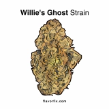 Willie’s Ghost Strain — Creepy and Sleepy