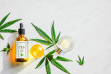 The Best CBD Oils