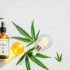 CBD Facts – 45 popular CBD questions answered