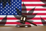 Biden Administration Now Accepting Marijuana Pardon Applications