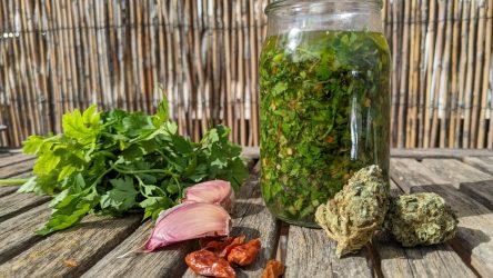 Cannabis Chimichurri Recipe