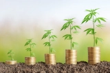 Colorado Announces New Cannabis Loan Fund for Social Equity Businesses