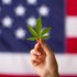 CBD for Pets