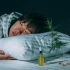 42% of U.S. Adults Have Consumed Cannabis, Plan To Again: Report
